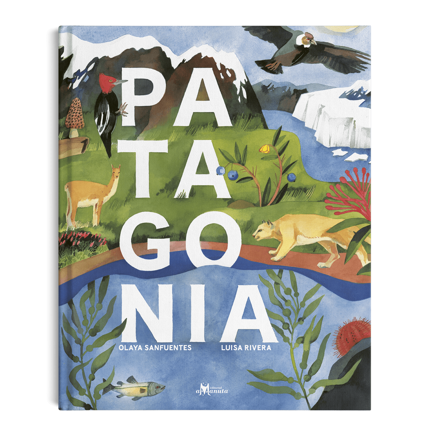 Patagonia