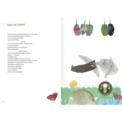 Gonzalo Rojas, illustrated poems