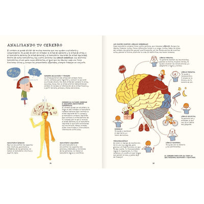 Inside book "Your brain is great"
