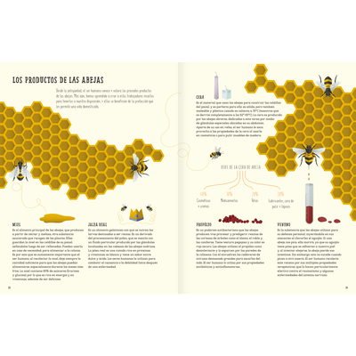 The world of bees